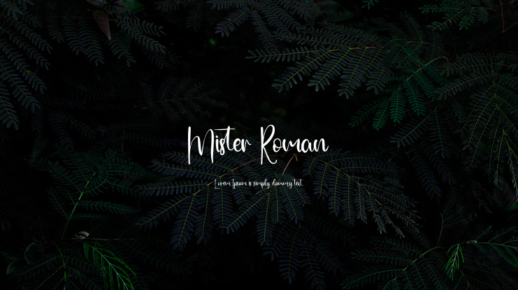 Mister Roman Font