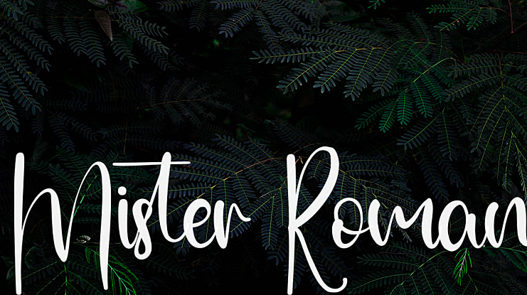 Mister Roman Font