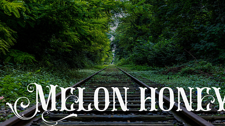Melon honey Font