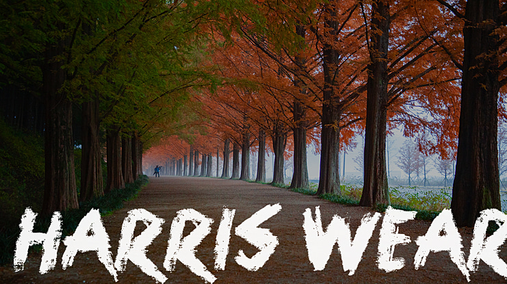 Harris Wear Font