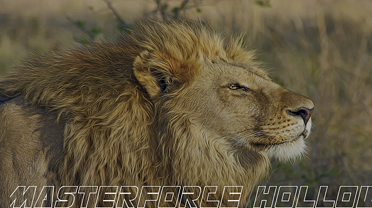 Masterforce Font Family