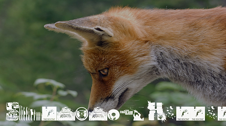 Survival Horror Font