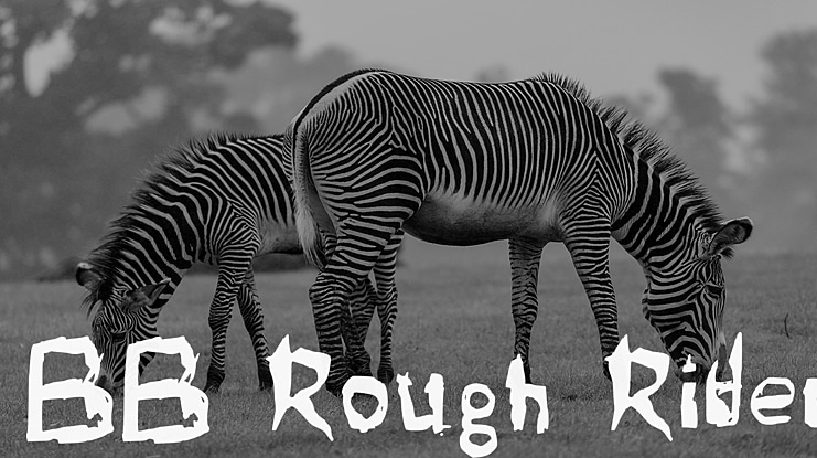 BB Rough Rider Font