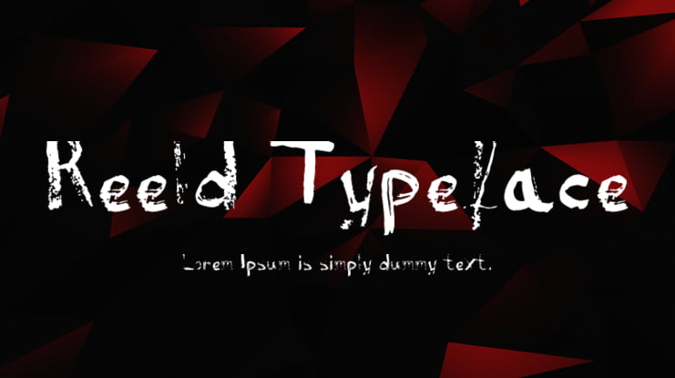 Reeld Typeface Font