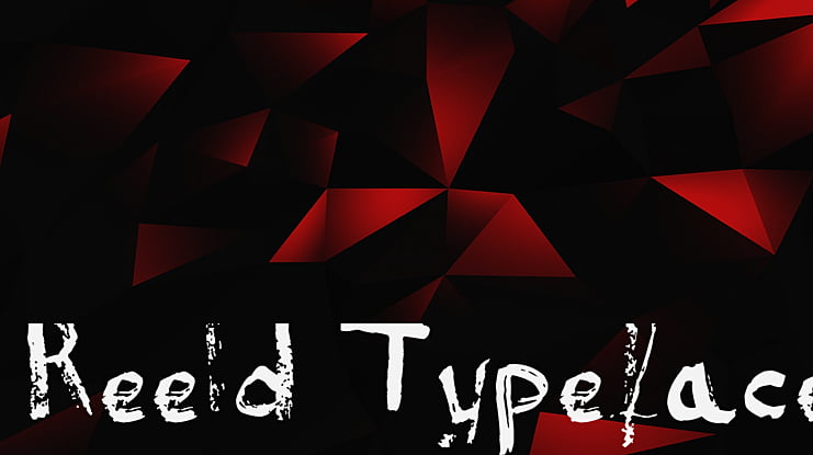 Reeld Typeface Font