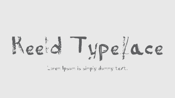 Reeld Typeface Font