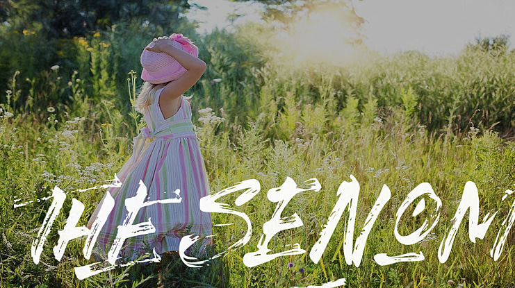 The Senom Font Family