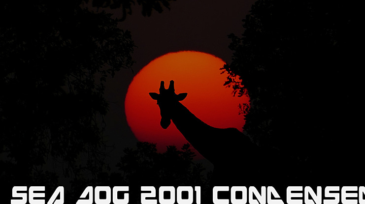 Sea Dog 2001 Font Family