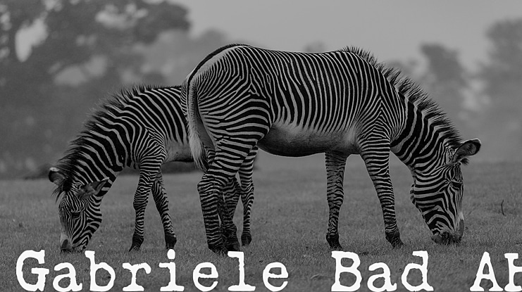 Gabriele Bad AH Font