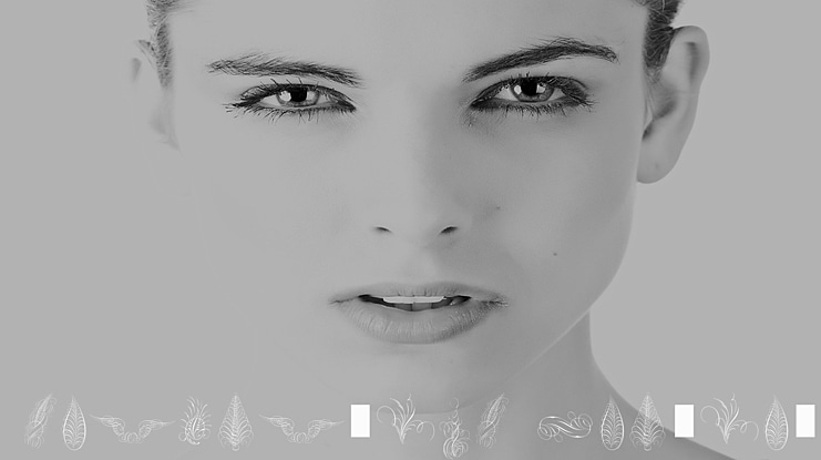 Penmanship Feathers Font