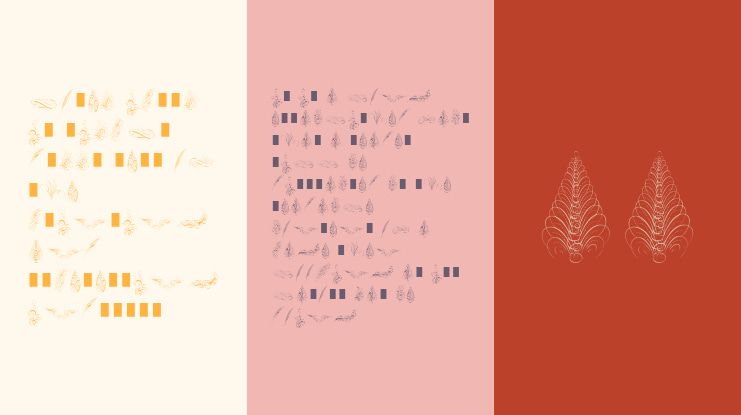 Penmanship Feathers Font