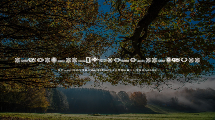 Vintage Decorative Signs 8 Font