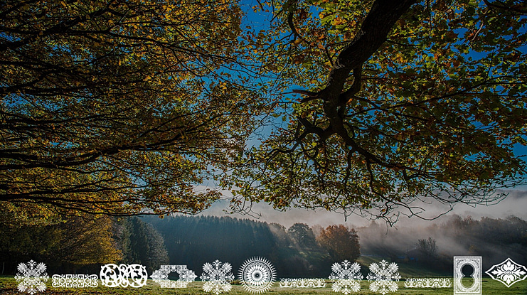 Vintage Decorative Signs 8 Font