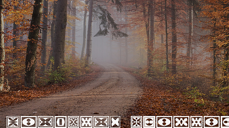 Ornament Borders Font