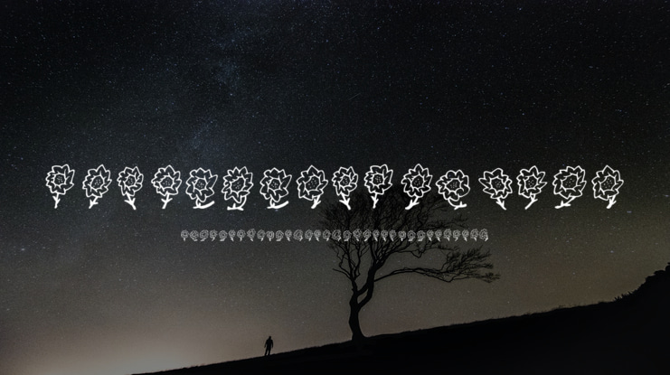 FE Majas Flowers Font