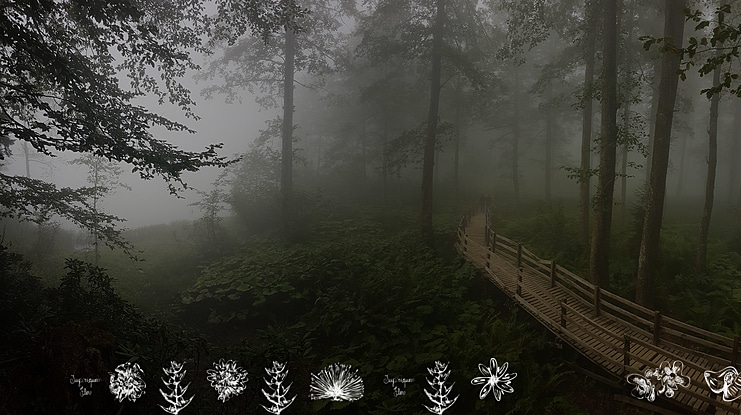 Tupiniquim  Flora Font