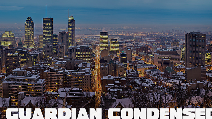 Guardian Font Family