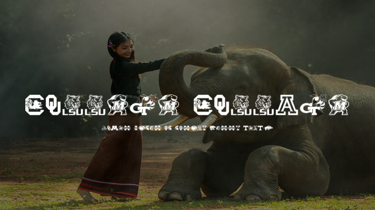 College Collage Font