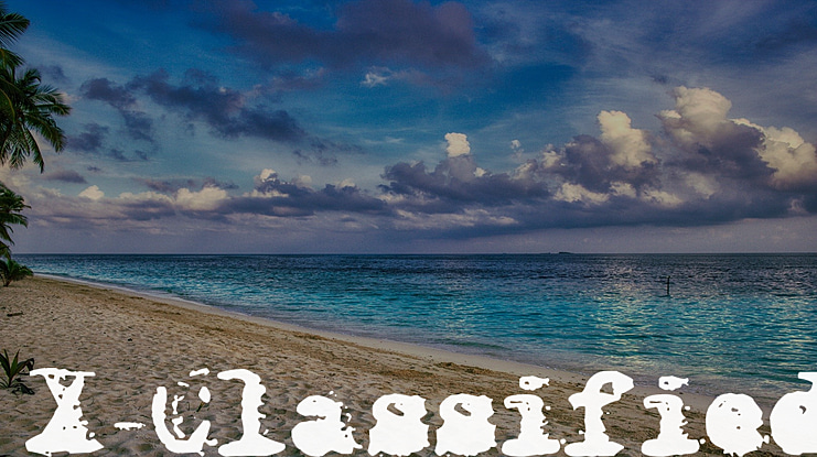 X-Classified Font Family
