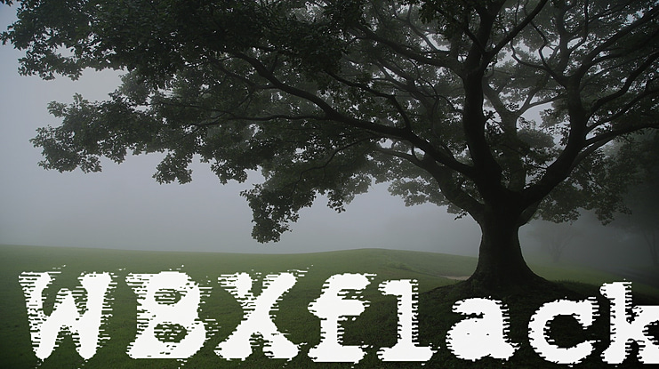 WBXflack Font
