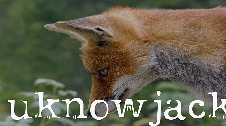 uknowjack Font