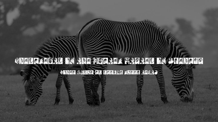 Presidents of the United States of America Font