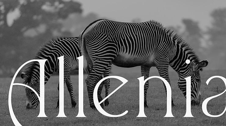 Allenia Font