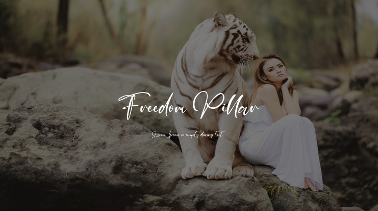 Freedom Pillar Font