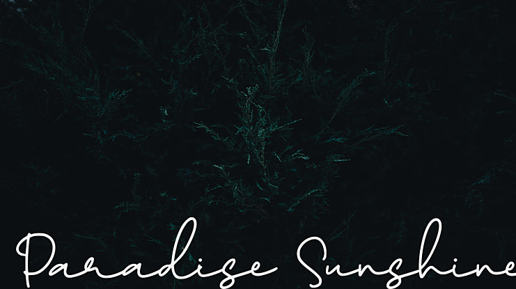 Paradise Sunshine Font