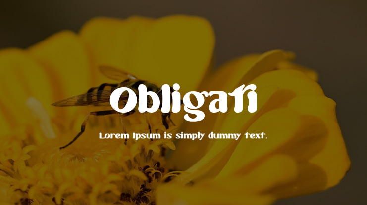 Obligati Font