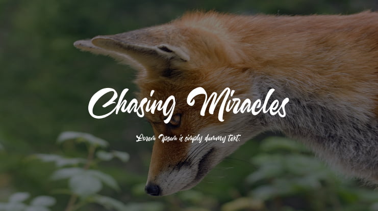 Chasing Miracles Font