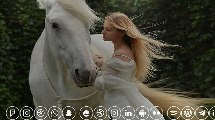 Icons Social Media 2 Font