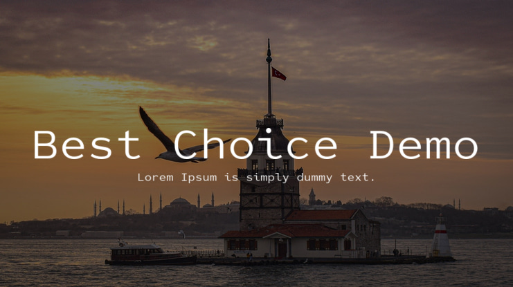 Best Choice Demo Font