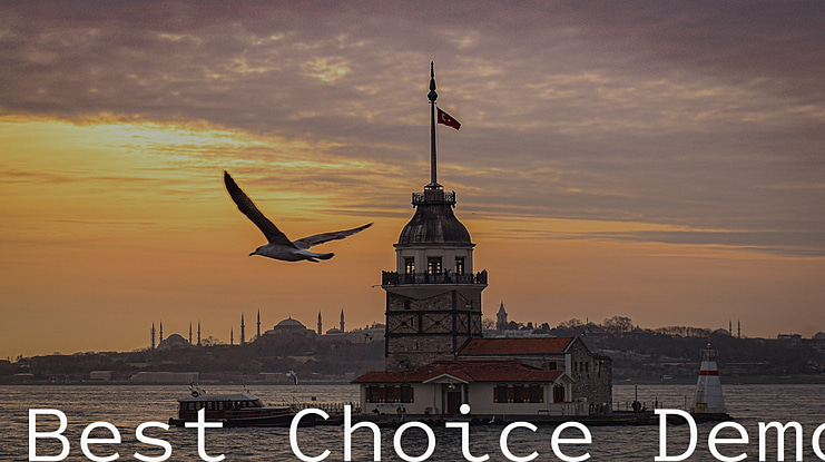 Best Choice Demo Font
