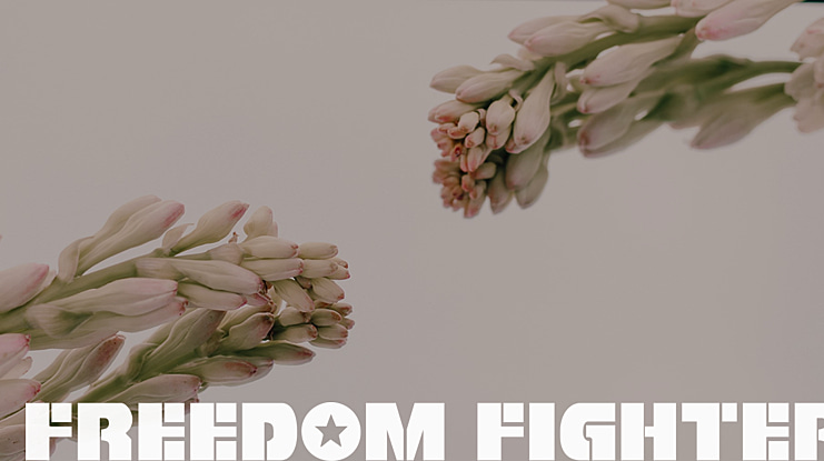 Freedom Fighter Font Family
