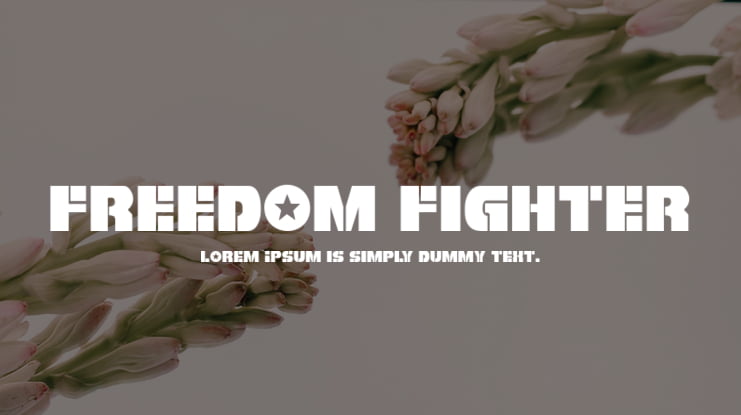 Freedom Fighter Font Family