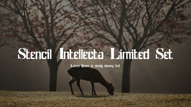 Stencil Intellecta Limited Set Font