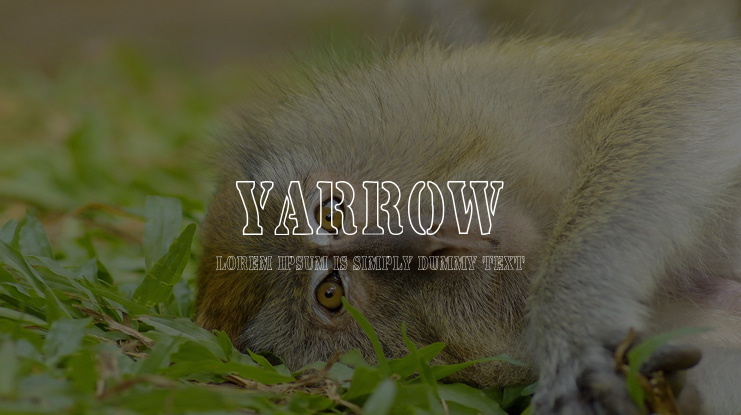 Yarrow Font