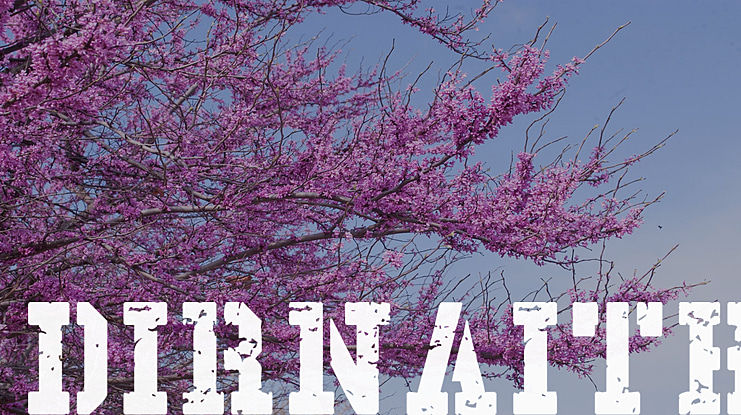 Dirnaith Font Family