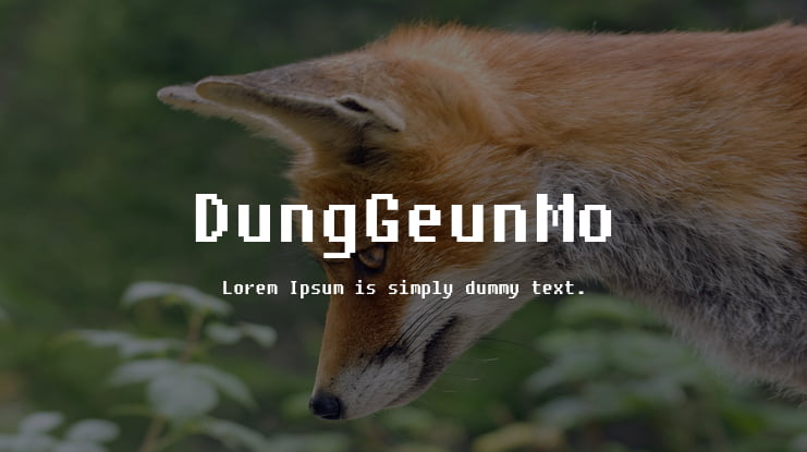DungGeunMo Font