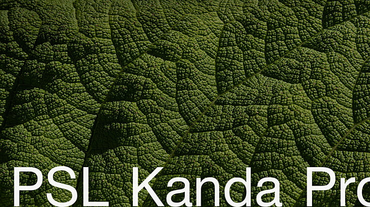 PSL Kanda Pro Font