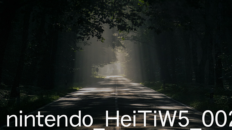 nintendo_HeiTiW5_002 Font Family