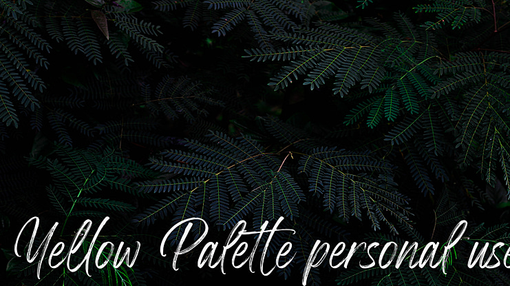 Yellow Palette personal use Font