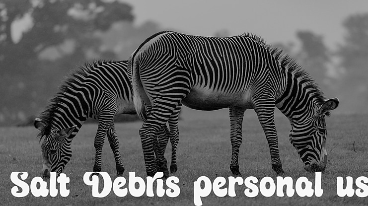 Salt Debris personal use Font