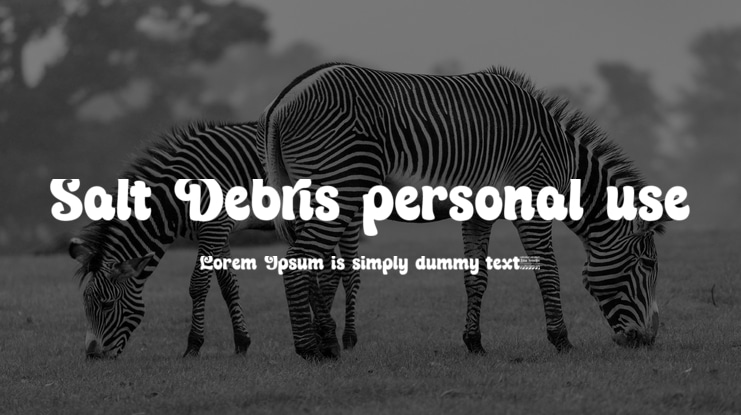 Salt Debris personal use Font