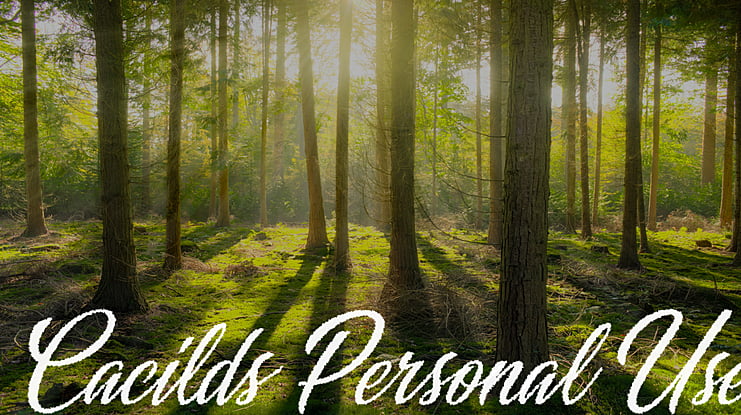 Cacilds Personal Use Font
