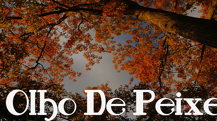 Olho De Peixe Font Family