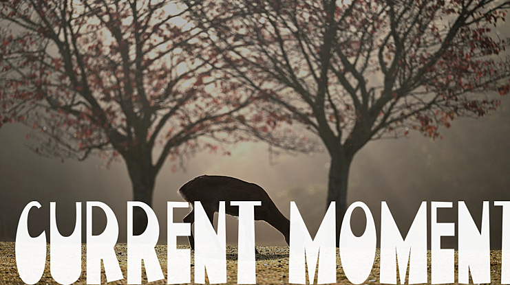 Current Moment Font