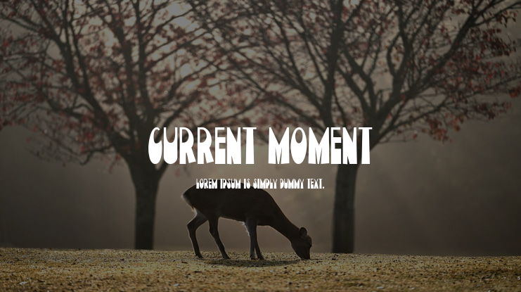 Current Moment Font