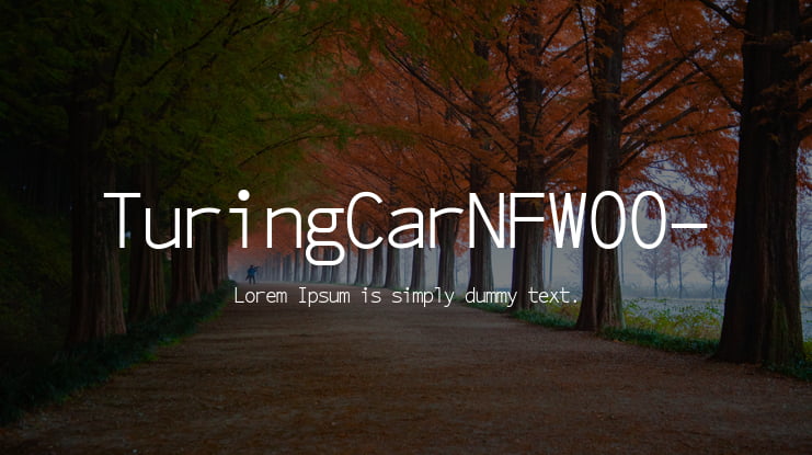 TuringCarNFW00- Font Family